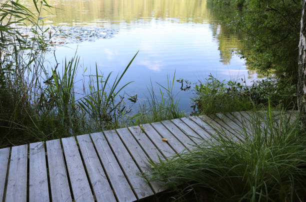 istock Wooden walkway by the lake. 2167570044