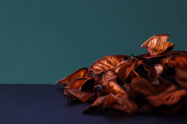 Golden leaves on black slate background