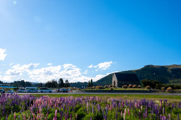 istock Camper Van with Lupines and Mountains 2167570247