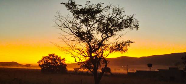 istock Sunset on a farm, beautiful nature with trees and mountains 2167571155