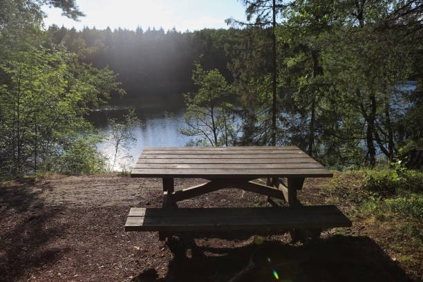 istock Wooden picnic table by the lake. 2167571391