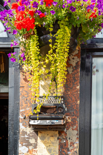 istock Edinburgh Street and window boxes 2167573115