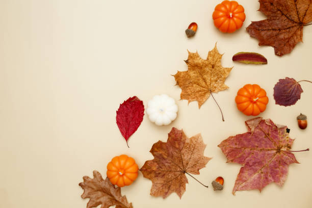 istock Autumn composition with maple leaves, decorative pumpkins and candles. Top view. Copy space 2167574652
