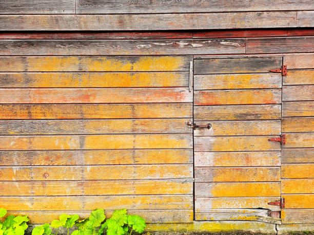 Rustic old yellow and red barn wood wall with door background