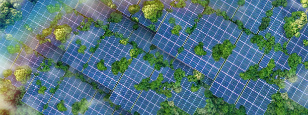 istock Solar panels installed in the green forest Clean alternative energy concept. Environment, solar energy, generator. 2167581101