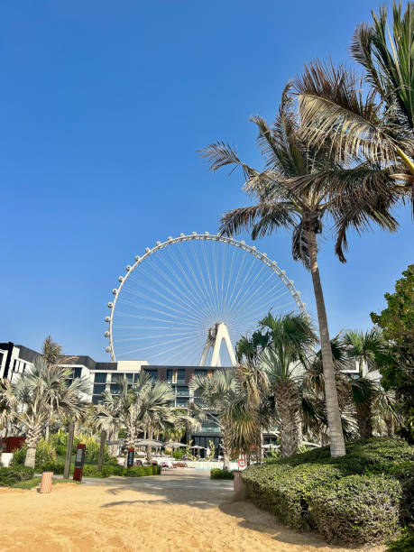 istock At the beach in Dubai 2167582538