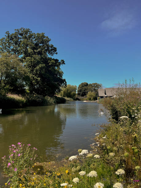 istock Summer in the Cotswolds 2167582757