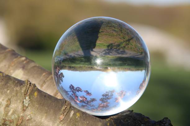 istock Cherry blossoms in a glass sphere, Central Park 2167583618