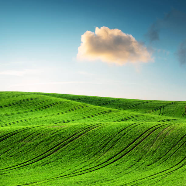 istock Abstract rural landscape with agricultural fields 2167586524