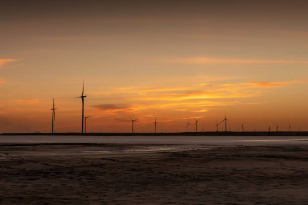 Tranquil landscape with rows offshore wind turbines on dry seabed on sunset time. Industrial landscape photography