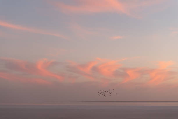 Sunset on the sea with red glowing cloudy sky and flock of birds. Ocean sunrise background. Landscape photography