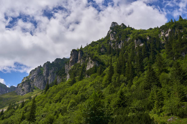 istock Mountain landscape in the summer 2167588475