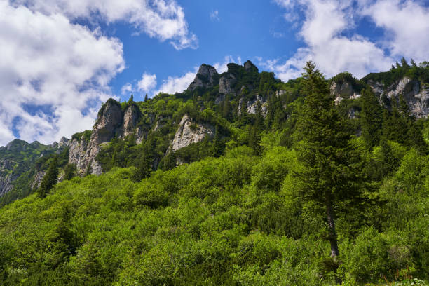 istock Mountain landscape in the summer 2167588560