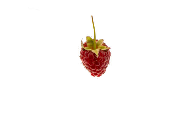 fresh raspberry fruits  isolated on white background