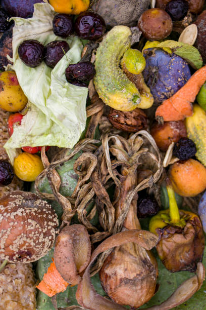 istock Household food waste for fruit and vegetable compost. 2167591794