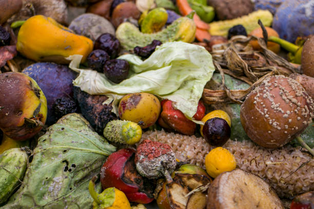 istock Household food waste for fruit and vegetable compost. 2167591824