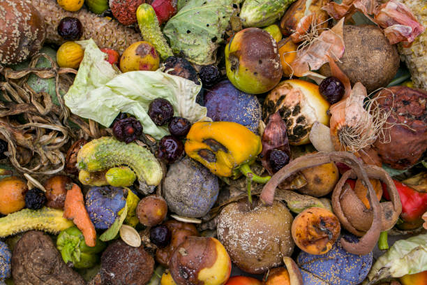 istock Household food waste for fruit and vegetable compost. 2167591826
