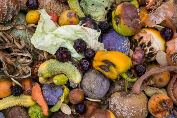 istock Household food waste for fruit and vegetable compost. 2167591827