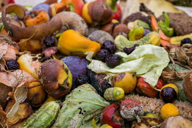 istock Household food waste for fruit and vegetable compost. 2167591831
