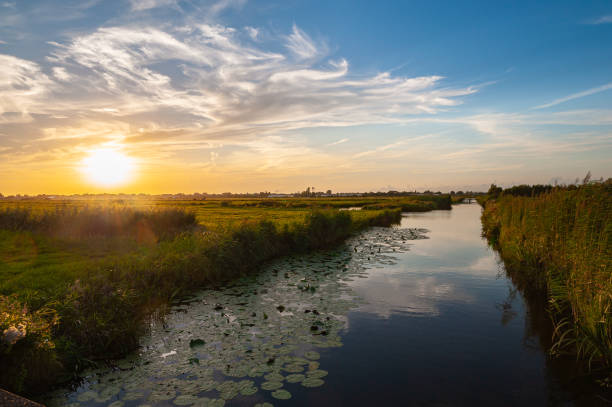 istock Sunset over the wetlands in Holland 2167591844