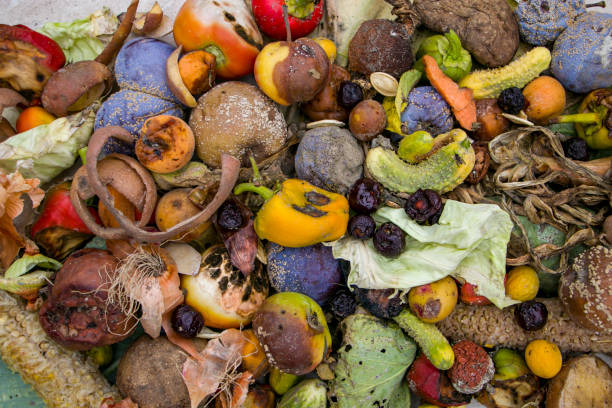 istock Household food waste for fruit and vegetable compost. 2167591845