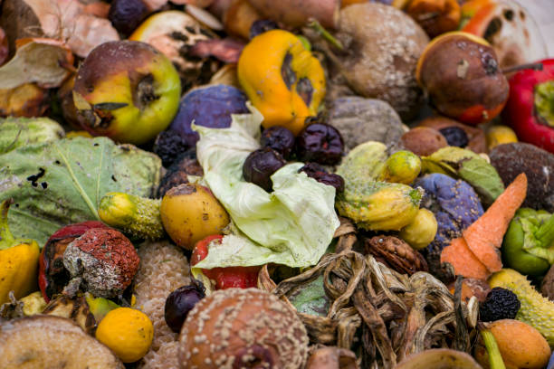 istock Household food waste for fruit and vegetable compost. 2167591846