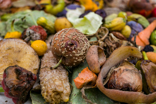 istock Household food waste for fruit and vegetable compost. 2167591847