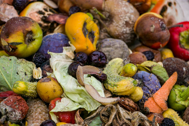 istock Household food waste for fruit and vegetable compost. 2167591849