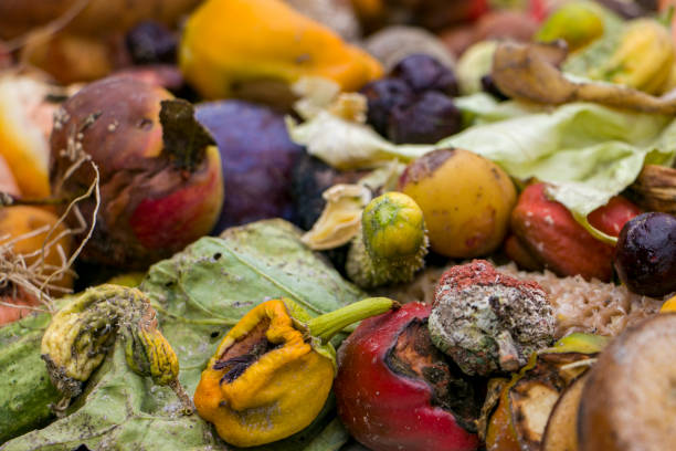 istock Household food waste for fruit and vegetable compost. 2167591865