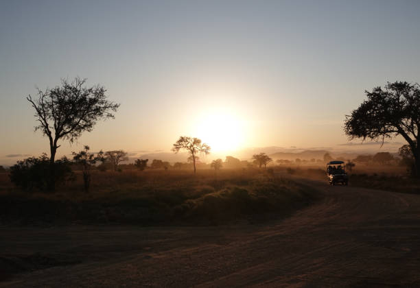istock Sundowner Zambia 2167594645