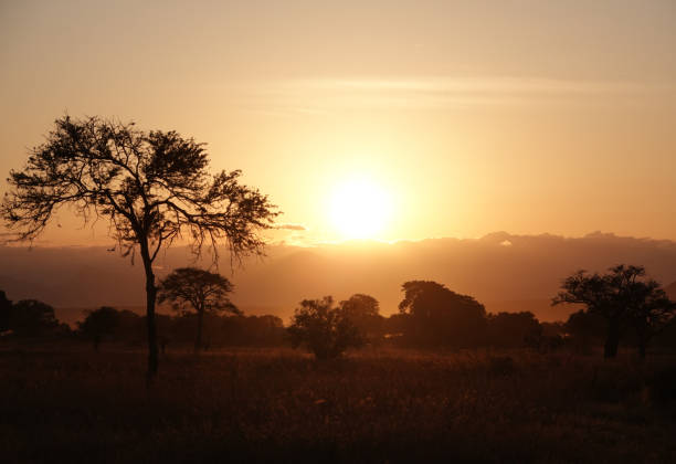 istock Sundowner Zambia 2167594702
