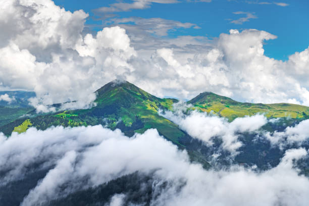 istock Amazing flowing morning fog in spring mountains 2167594834