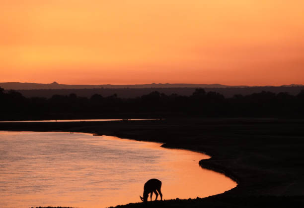 istock Sundowner Zambia 2167595683