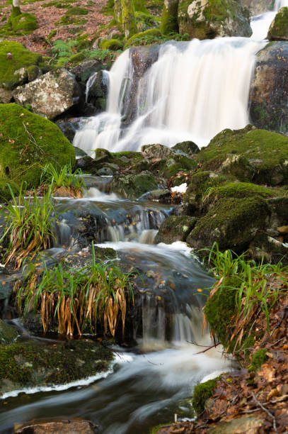 istock Close up of water flowing in a small river 2167596719
