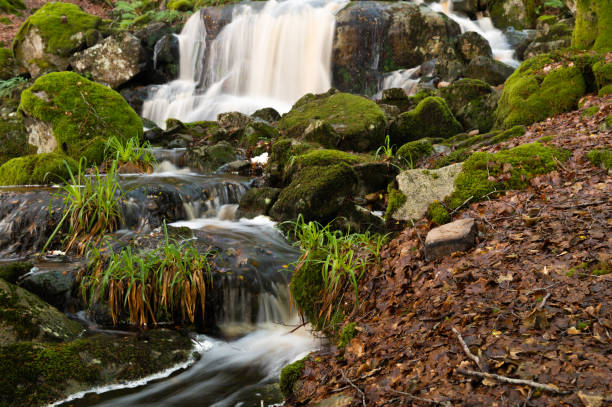 istock Water flowing in a woodland stream 2167596789