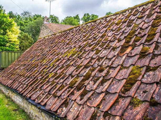 istock Red clay tiles with green moss looking along roof 2167597586