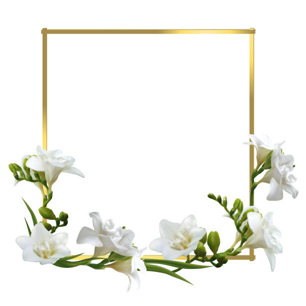 istock Tropical flowers. White freesia. Square gold frame decorated with flowers. Floral background. 2167603928