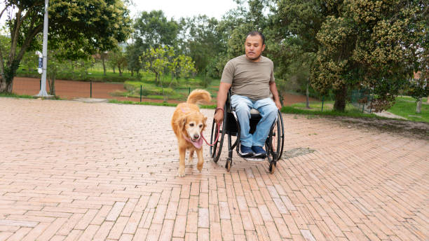 istock man with a wheelchair and his pet. 2167603965