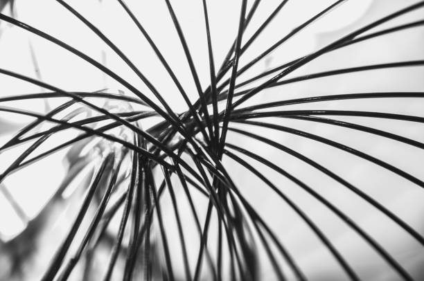 istock Close-up macro of a thin wire backlit in black and white abstraction macrophotography 2167605111