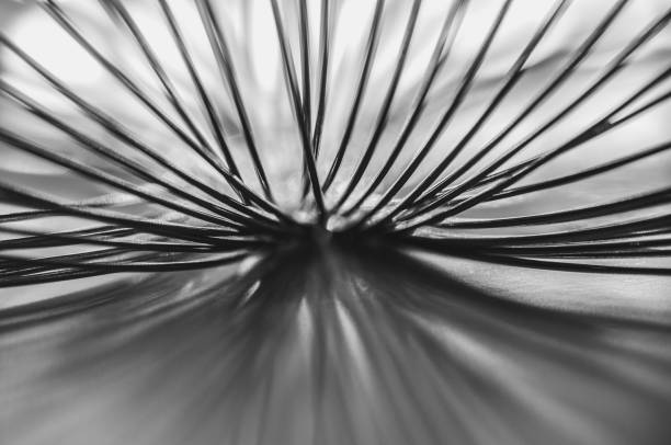 Close-up macro of a thin wire backlit in black and white abstraction macrophotography