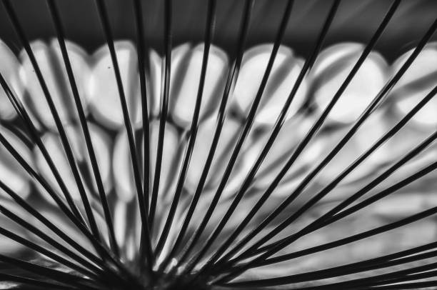 istock Close-up macro of a thin wire backlit in black and white abstraction macrophotography 2167605120