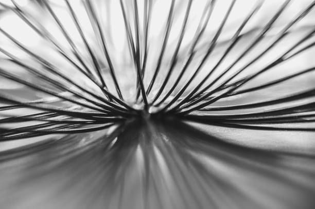istock Close-up macro of a thin wire backlit in black and white abstraction macrophotography 2167605122