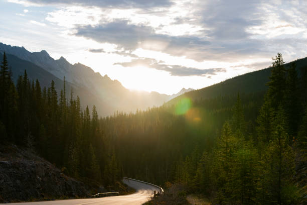 istock Maligne Lake Road 2167605453