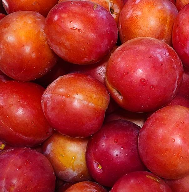 istock Fresh red plums for the background 2167606384