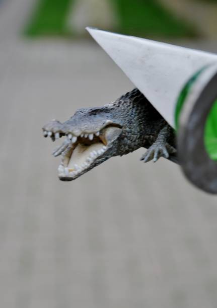 Crocodile - figure