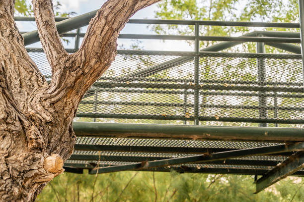 istock Metal Green Bridge in Tree Area 2167609224