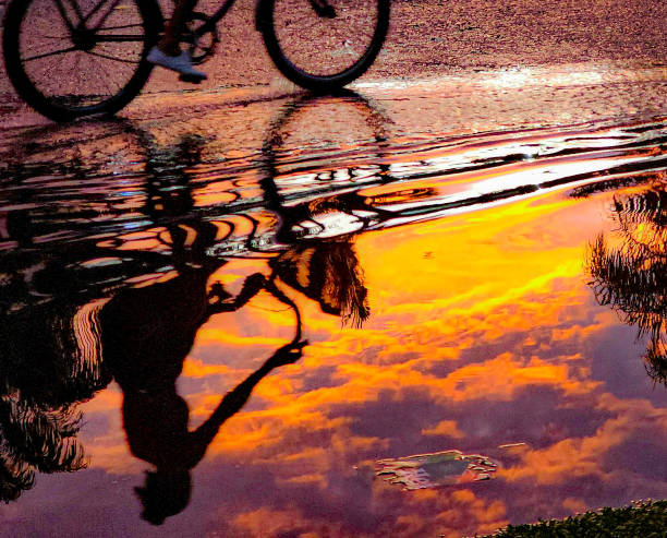 cyclist reflected in puddle of water at sunset