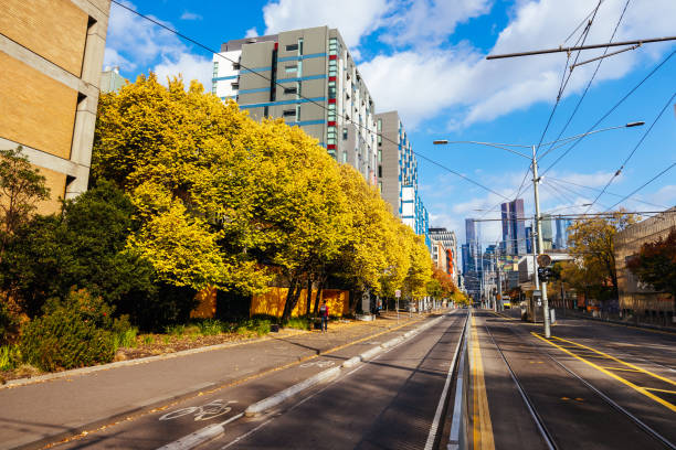 MELBOURNE, AUSTRALIA - MAY 05, 2024 - The corner of Swanston St and Elgin St during autumn at Melbourne University Parkville campus in Melbourne, Victoria, Australia