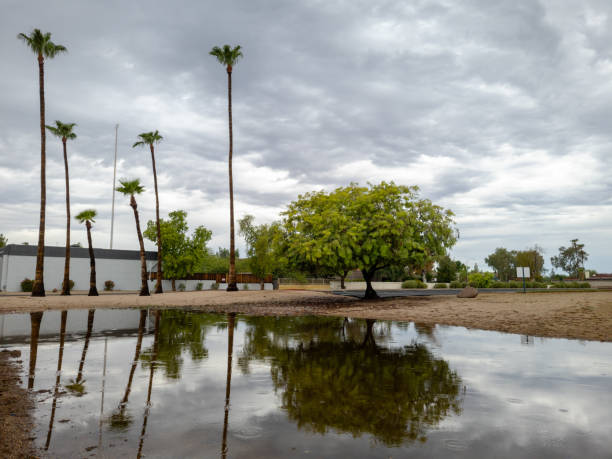 istock Light Last Rain Drops after Torrential Monsoon Storm 2167618739