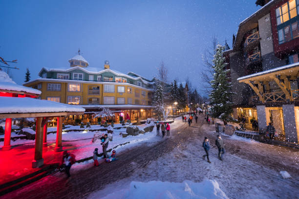istock Ski resort at dusk in winter 2167618773